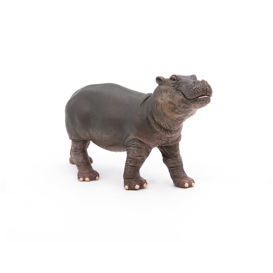 Figurine Bébé hippopotame  Papo en PVC, thème savane, Collection Animaux sauvages, jouet éducatif idéal pour enfants et collectionneurs