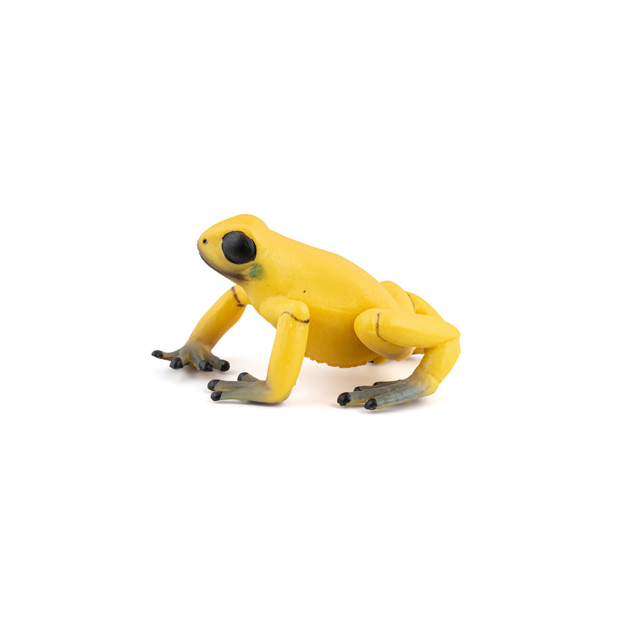 Grenouille équatoriale jaune Papo en PVC, Collection Animaux sauvages, jouet éducatif idéal pour enfants et collectionneurs
