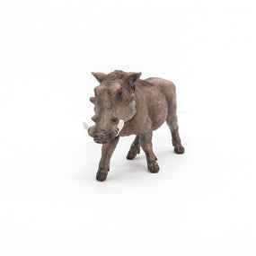 Figurine Phacochère Papo en PVC, thème savane, Collection Animaux sauvages, jouet éducatif idéal pour enfants et collectionneurs
