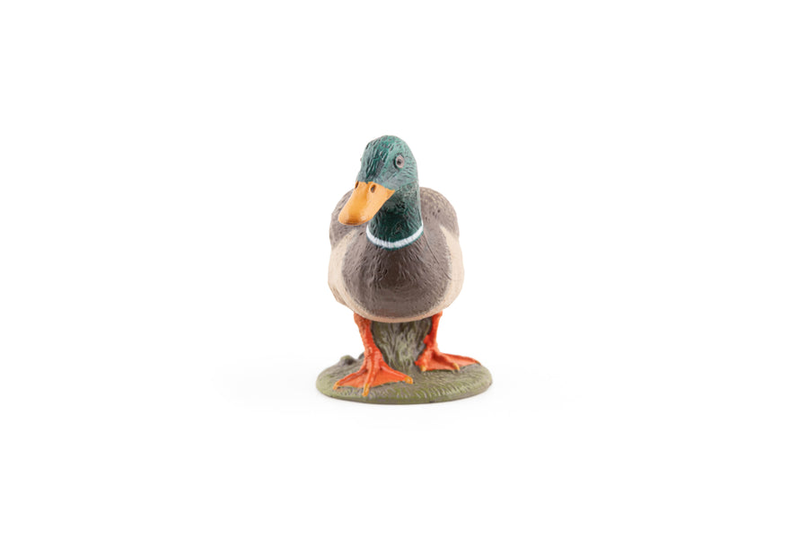 Figurine Canard colvert Papo en PVC, thème basse-cour, Collection Vie à la ferme, jouet éducatif idéal pour enfants et collectionneurs