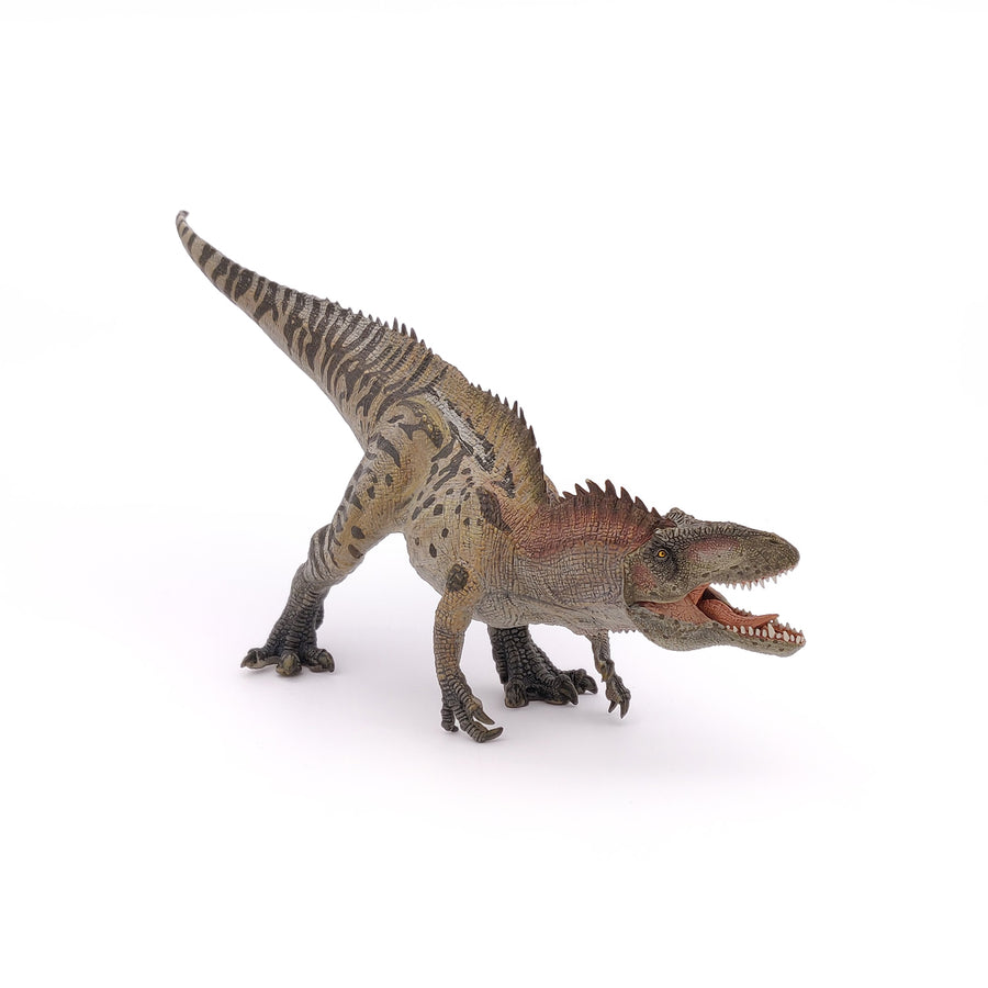 Acrocanthosaurus Papo en PVC, Collection Dinosaures, jouet éducatif idéal pour enfants et collectionneurs