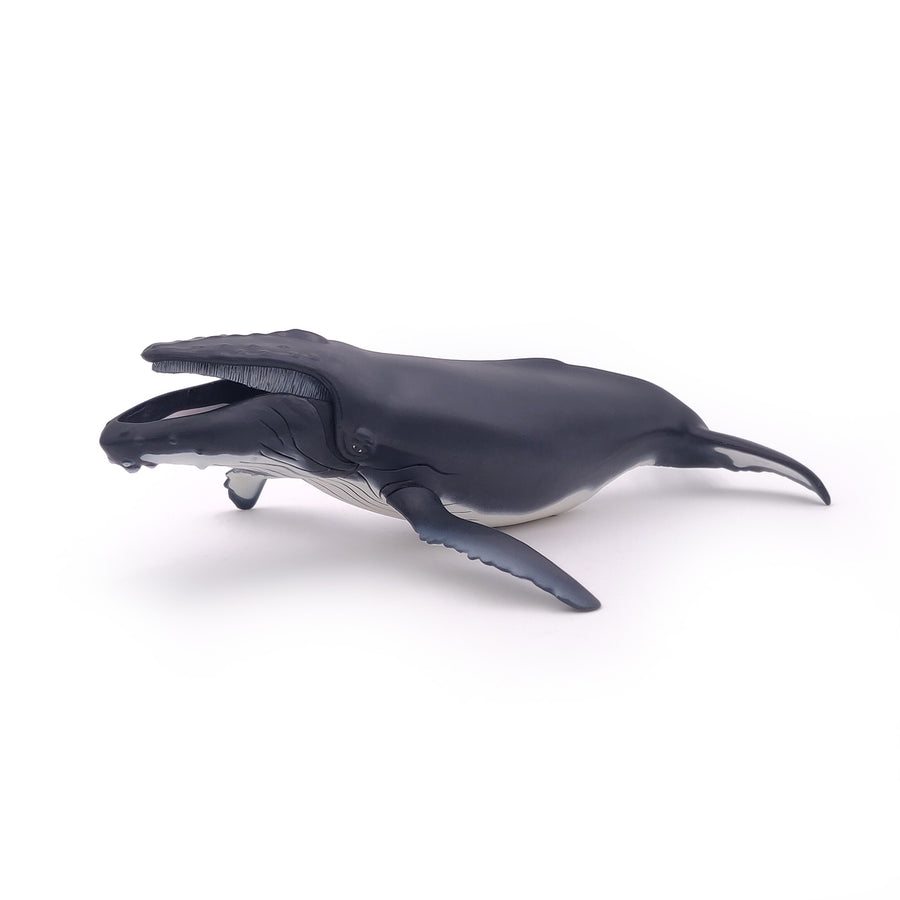 Baleine à bosse Papo en PVC, Collection animaux marins, jouet éducatif idéal pour enfants et collectionneurs