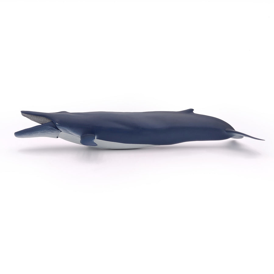 Figurine Baleine bleue Papo en PVC, Collection animaux marins, jouet éducatif idéal pour enfants et collectionneurs